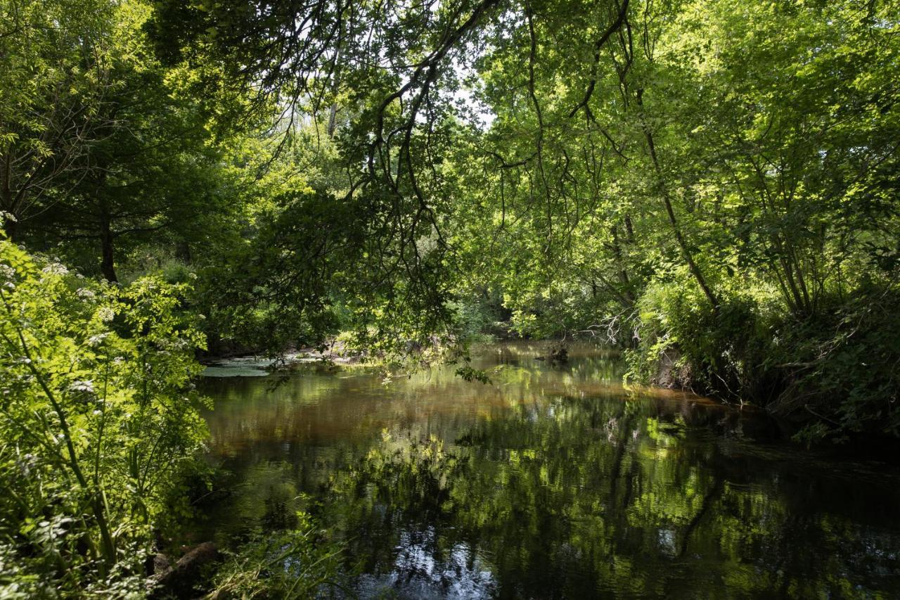 Manoir Du Vau D Arz Gites Et Chambres D Hotes Avec Piscine Malansac Buitenkant foto